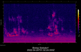 2022-04-24T01:32:24.000Z