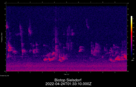 2022-04-24T01:33:10.000Z
