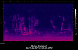 2022-04-24T01:33:40.000Z