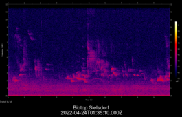 2022-04-24T01:35:10.000Z