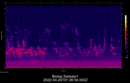 2022-04-24T01:36:54.000Z