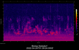 2022-04-24T01:39:24.000Z