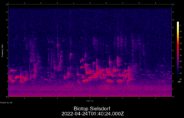 2022-04-24T01:40:24.000Z