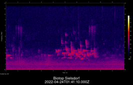 2022-04-24T01:41:10.000Z
