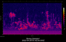 2022-04-24T01:42:54.000Z