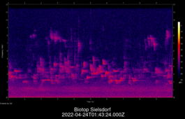2022-04-24T01:43:24.000Z