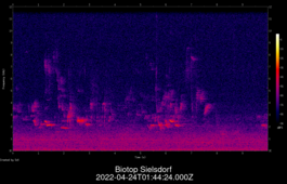 2022-04-24T01:44:24.000Z