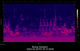 2022-04-24T01:45:10.000Z