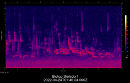 2022-04-24T01:46:24.000Z