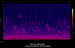 2022-04-24T01:47:24.000Z