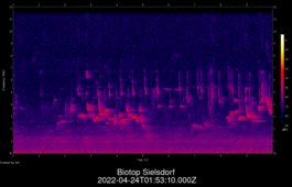 2022-04-24T01:53:10.000Z