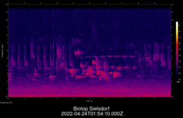 2022-04-24T01:54:10.000Z