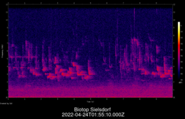 2022-04-24T01:55:10.000Z