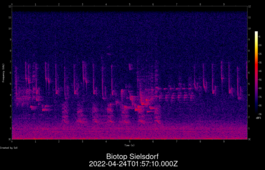 2022-04-24T01:57:10.000Z