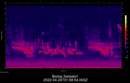 2022-04-24T01:58:54.000Z
