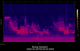 2022-04-24T02:00:24.000Z