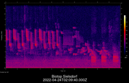 2022-04-24T02:09:40.000Z