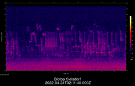 2022-04-24T02:11:40.000Z