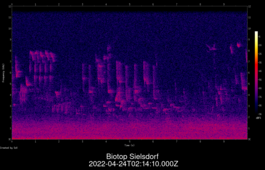 2022-04-24T02:14:10.000Z