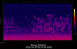 2022-04-24T02:14:54.000Z