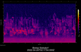 2022-04-24T02:17:54.000Z