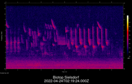2022-04-24T02:19:24.000Z