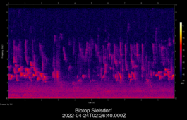 2022-04-24T02:26:40.000Z