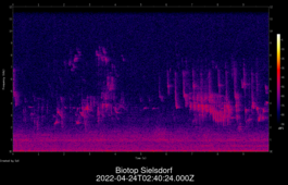 2022-04-24T02:40:24.000Z