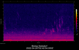 2022-04-24T02:42:54.000Z