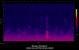 2022-04-24T02:45:24.000Z
