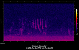 2022-04-24T02:46:54.000Z