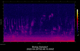 2022-04-24T02:48:10.000Z