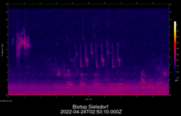 2022-04-24T02:50:10.000Z
