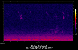 2022-04-24T02:55:54.000Z