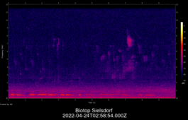 2022-04-24T02:58:54.000Z
