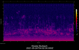 2021-05-24T04:02:30.000Z