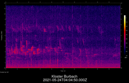 2021-05-24T04:04:50.000Z