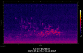 2021-05-24T04:10:40.000Z
