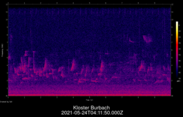 2021-05-24T04:11:50.000Z