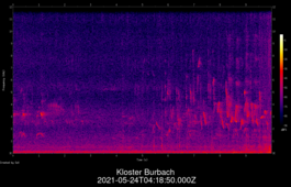 2021-05-24T04:18:50.000Z