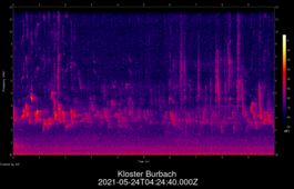 2021-05-24T04:24:40.000Z