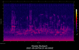 2021-05-24T04:31:40.000Z