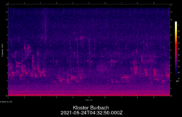 2021-05-24T04:32:50.000Z