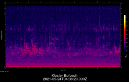 2021-05-24T04:36:20.000Z