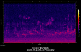 2021-05-24T04:37:30.000Z
