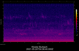 2021-05-24T04:38:40.000Z