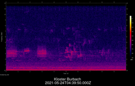 2021-05-24T04:39:50.000Z