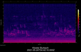 2021-05-24T04:42:10.000Z