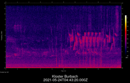 2021-05-24T04:43:20.000Z