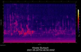 2021-05-24T04:46:50.000Z